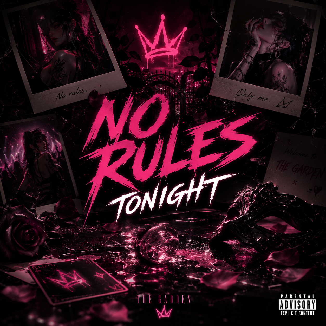 No Rules Tonight (Explicit)